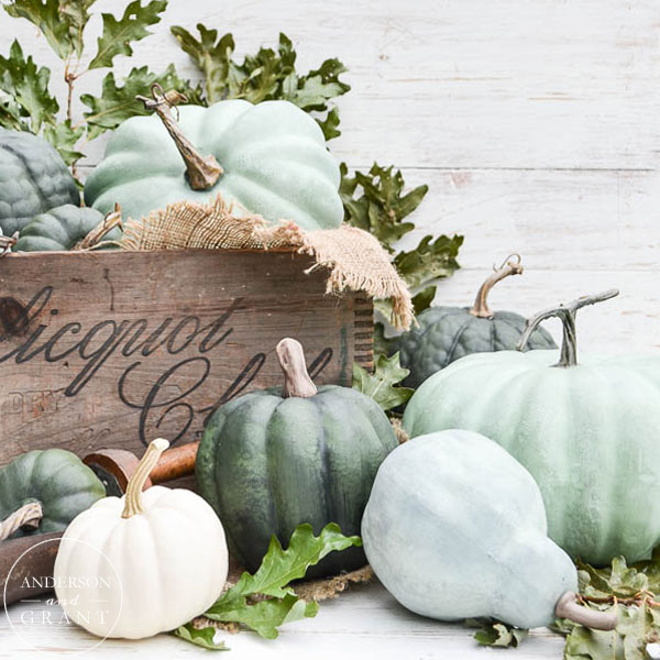Learn how to DIY some realistic looking chalk painted pumpkins.  |  www.andersonandgrant.com